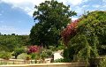 207 foto MVervoorn 2019-06-13 12.18.19